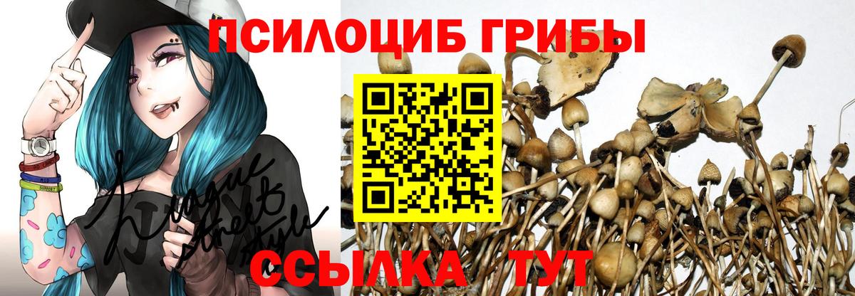 Лангепас  Галлюциногенные грибы Cubensis  Вход с VPN 